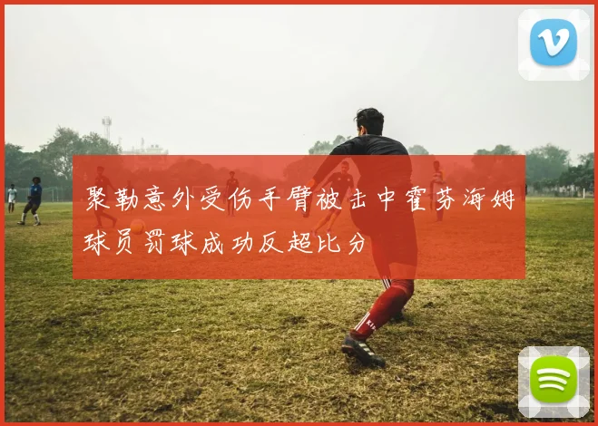 聚勒意外受伤手臂被击中霍芬海姆球员罚球成功反超比分