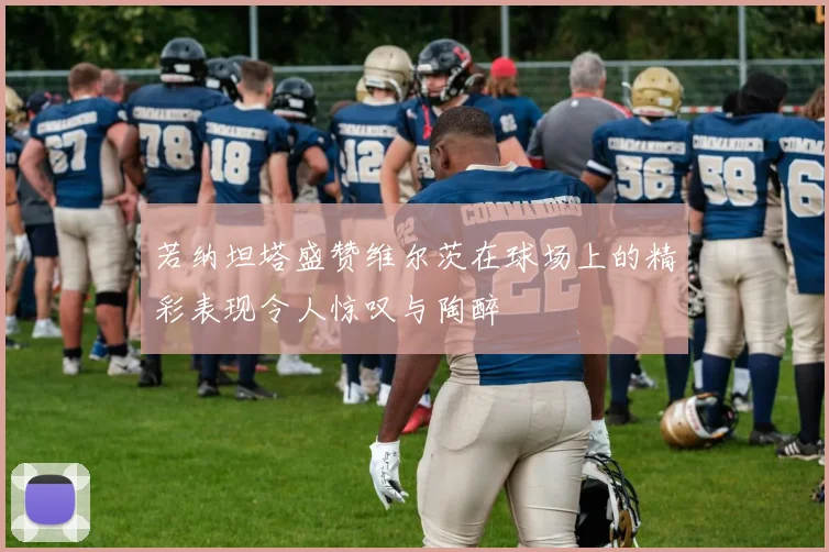 若纳坦塔盛赞维尔茨在球场上的精彩表现令人惊叹与陶醉