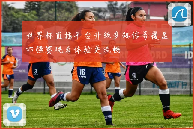 世界杯直播平台升级多路信号覆盖四强赛观看体验更流畅